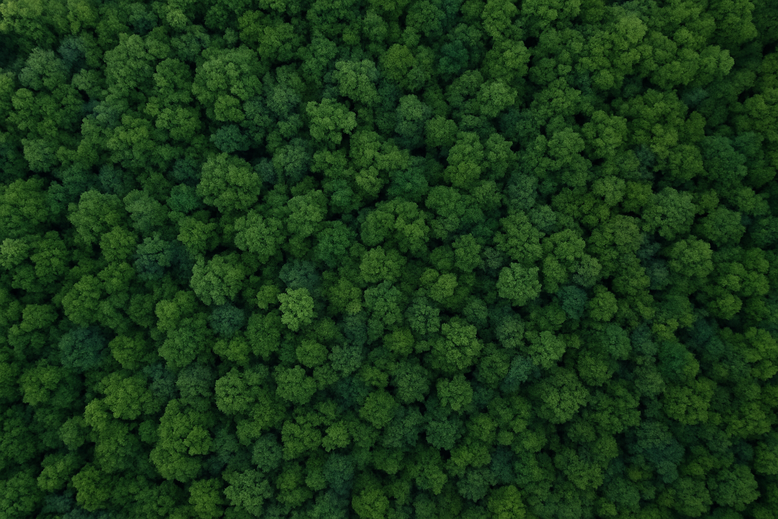 Luas Perkembangan Perubahan Fungsi Kawasan Hutan Produksi yang Dapat Dikonversi (HPK) menjadi Hutan Produksi Tetap (HP)